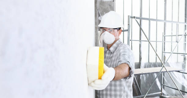 Mold Remediation for Rental Properties in Lake Geneva, WI