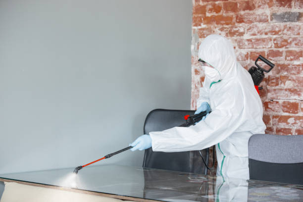 Best Emergency Mold Remediation  in Lake Geneva, WI