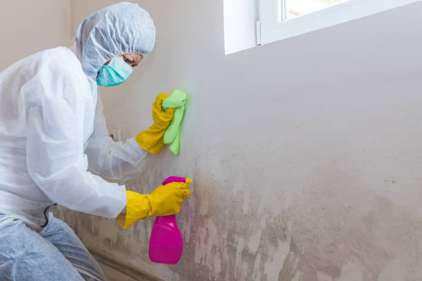 Best Mold Documentation for Insurance Claims  in Lake Geneva, WI