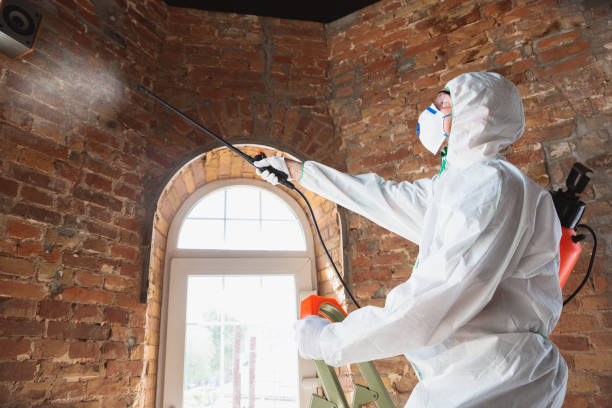 Best Forensic Mold Investigation  in Lake Geneva, WI