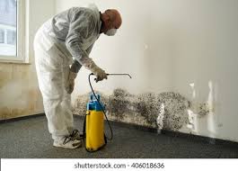 Why You Should Choose Our Mold Remediation Services in Lake Geneva, WI